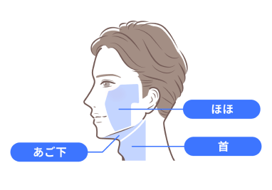 部位
